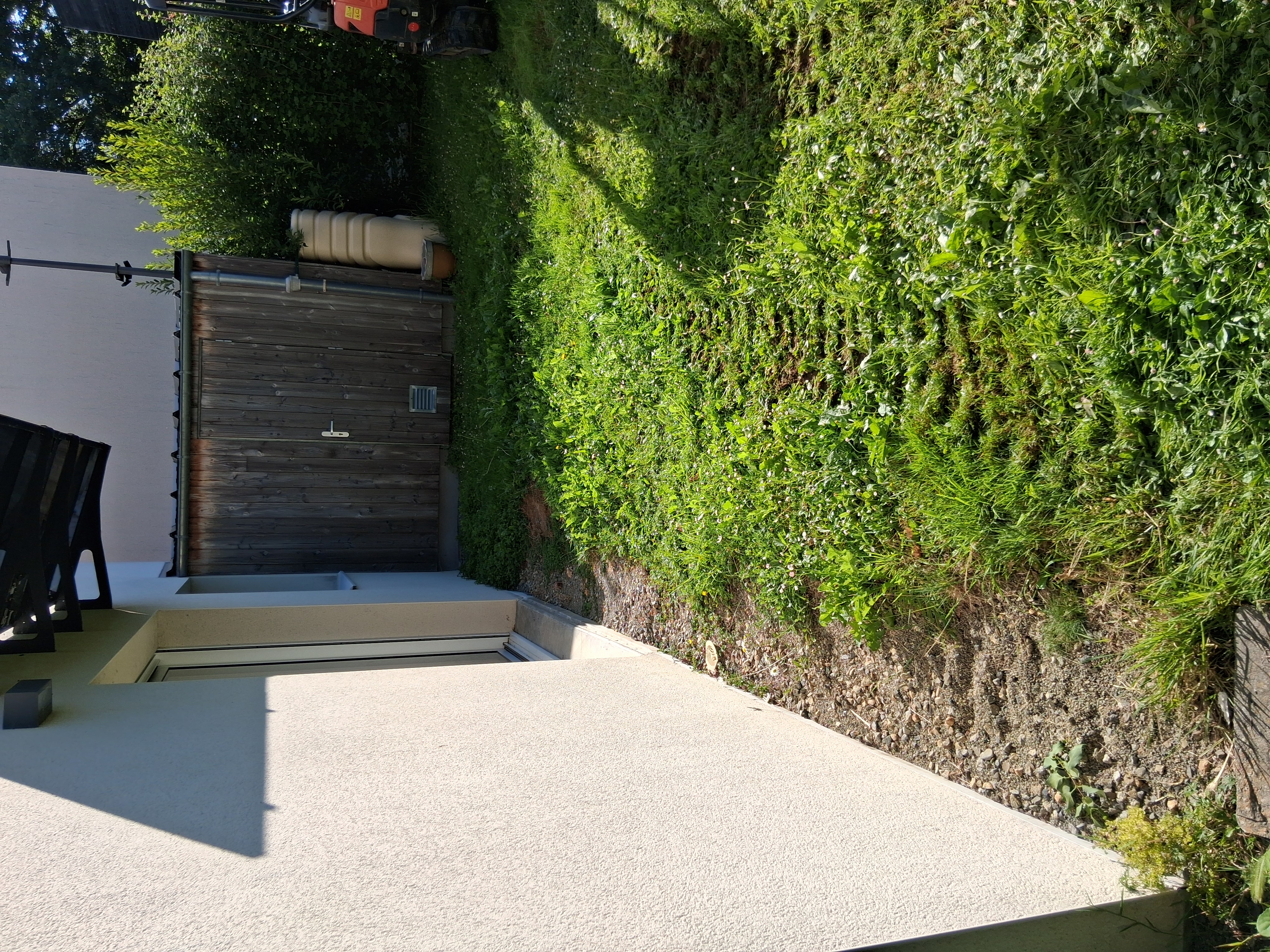 before-image