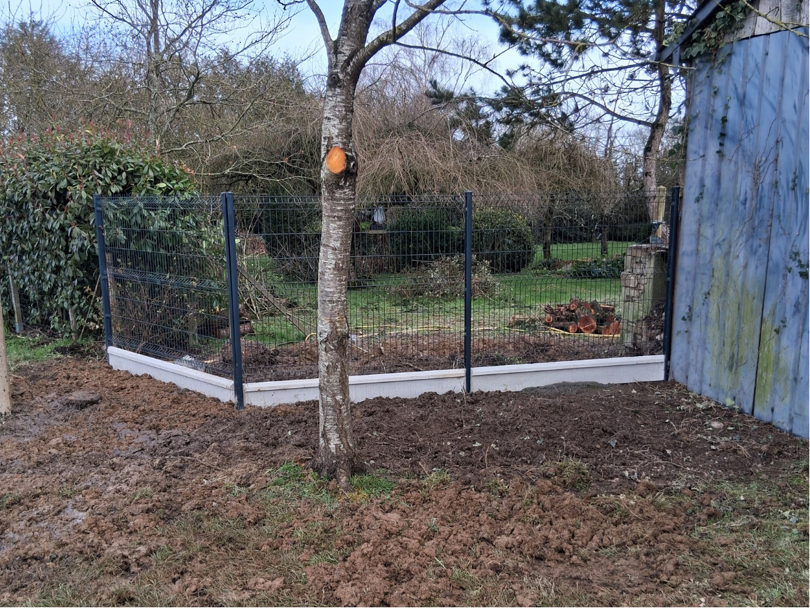 before-image